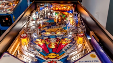 destination lyons classic pinball