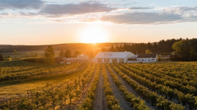 destination the st vrain cidery