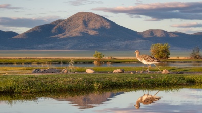 rocky flats national wildlife refuge